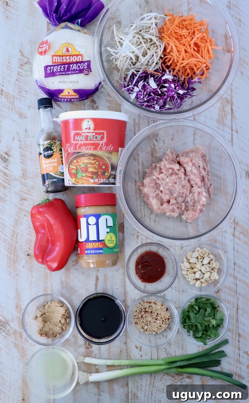 A flat lay of ingredients for Asian-inspired tacos on a light wood surface. Includes tortillas, red curry paste, ground chicken, shredded carrots, cabbage, bean sprouts, red bell pepper, peanut butter, peanuts, green onions, cilantro, sauces, and seasonings, showcasing all components.