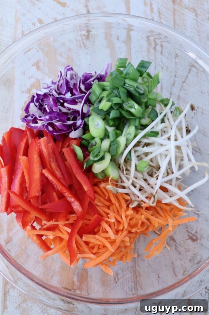 A clear bowl on a textured surface holds vibrant red bell peppers, shredded carrots, bean sprouts, green onions, and purple cabbage, ready for mixing.