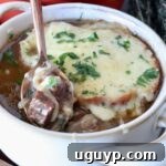 A bowl of French onion beef stew topped with melted cheese and herbs. A hand with red nail polish holds a spoon, lifting a piece of beef and onion out of the bowl.