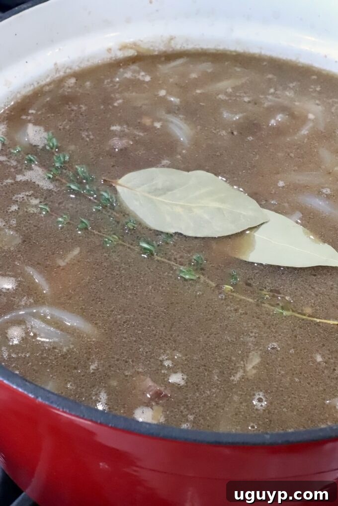 A pot of French onion beef stew filled with seared beef, caramelized onions, potatoes, and adorned with fresh bay leaves and thyme sprigs, ready for slow simmering.