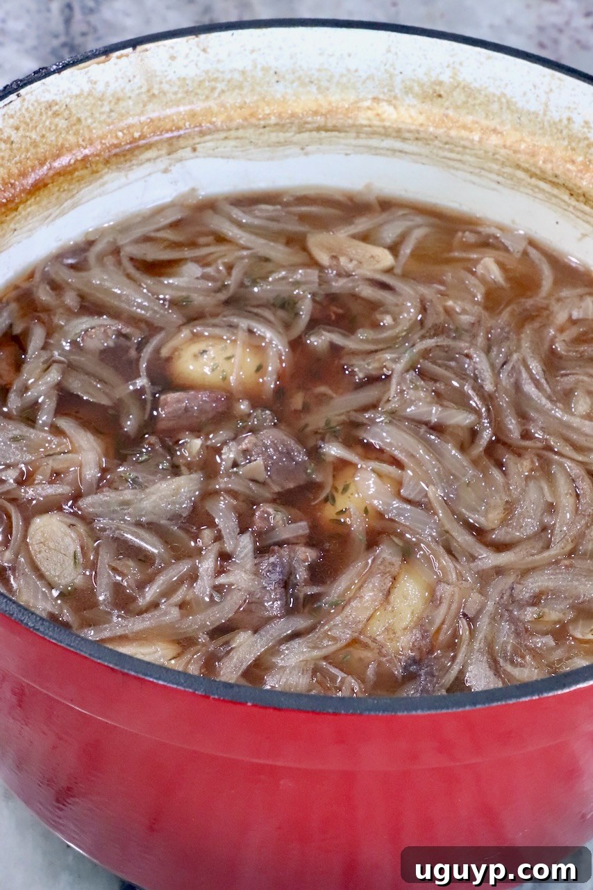 A large pot of perfectly cooked French onion beef stew, rich and hearty, resting on a kitchen countertop, ready to be served.