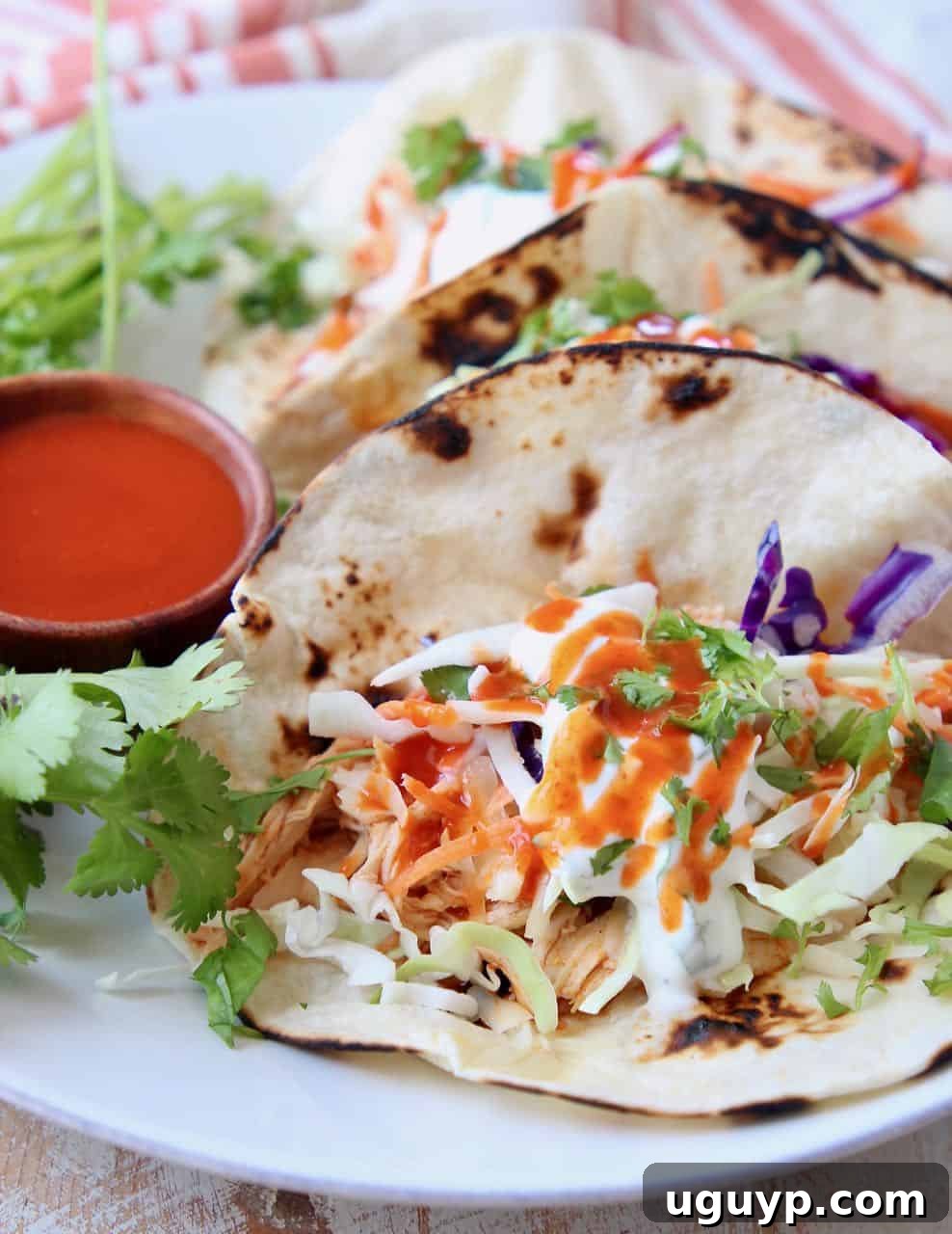 Tacos on plate with slaw and buffalo sauce