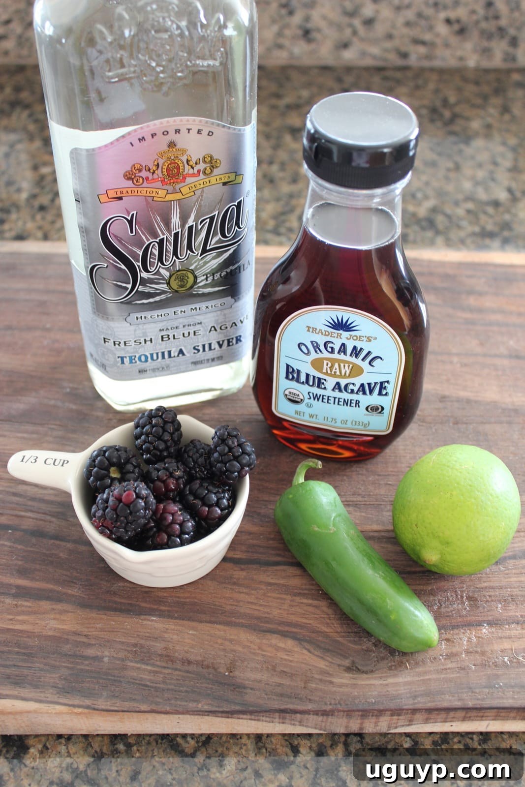 Blackberry Jalapeño Margarita Ingredients arranged