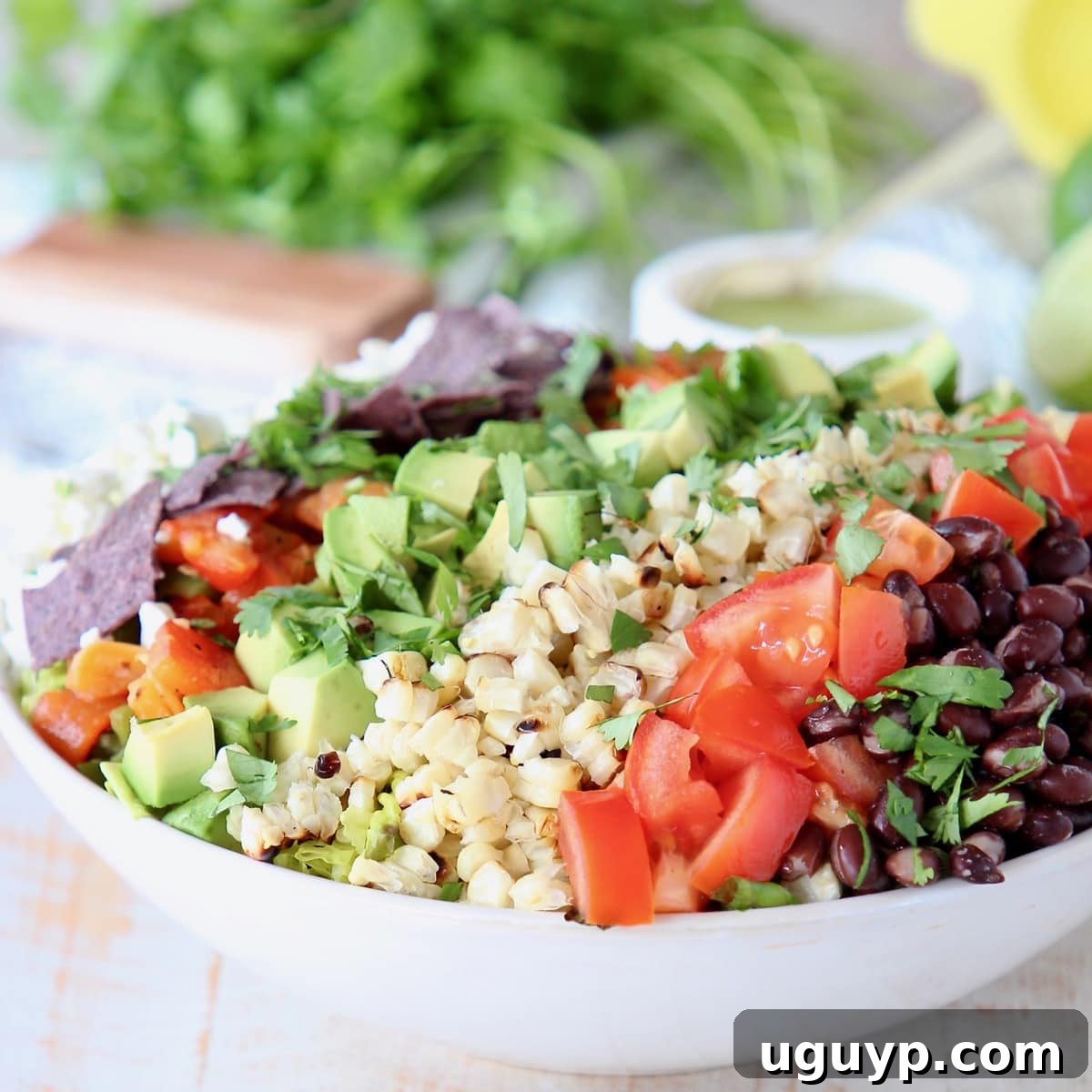 Grilled Romaine Salad with Corn, Avocado, Tomatoes and Black Beans