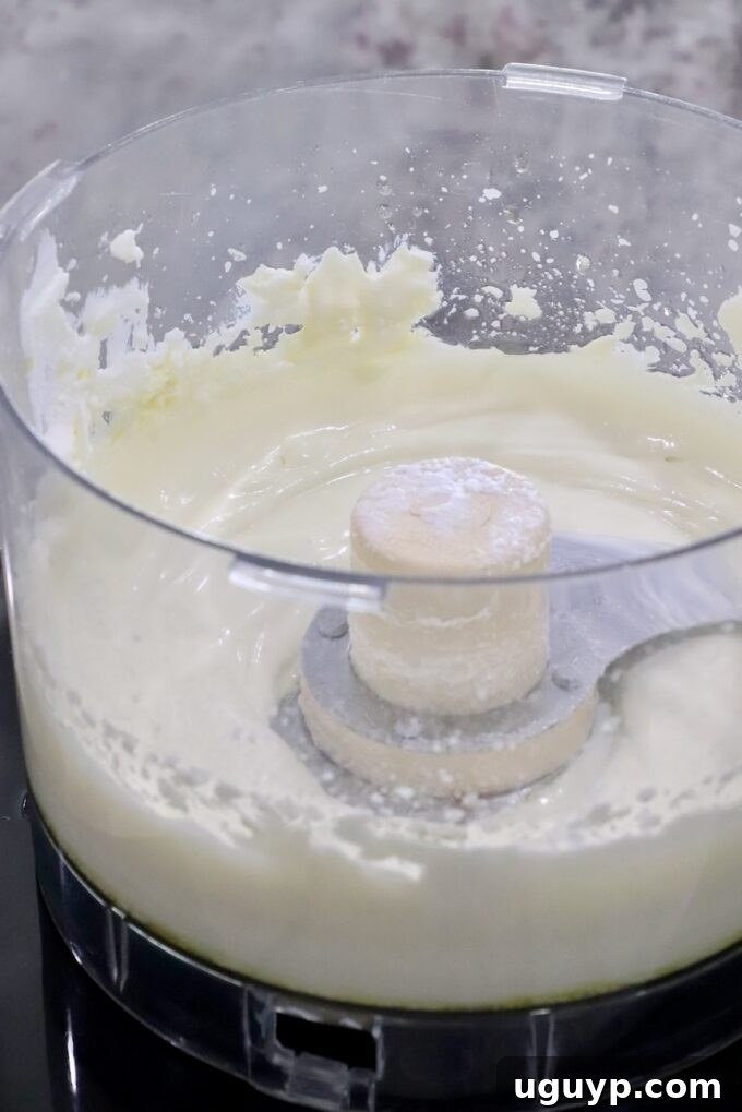whipped ricotta cheese in a food processor