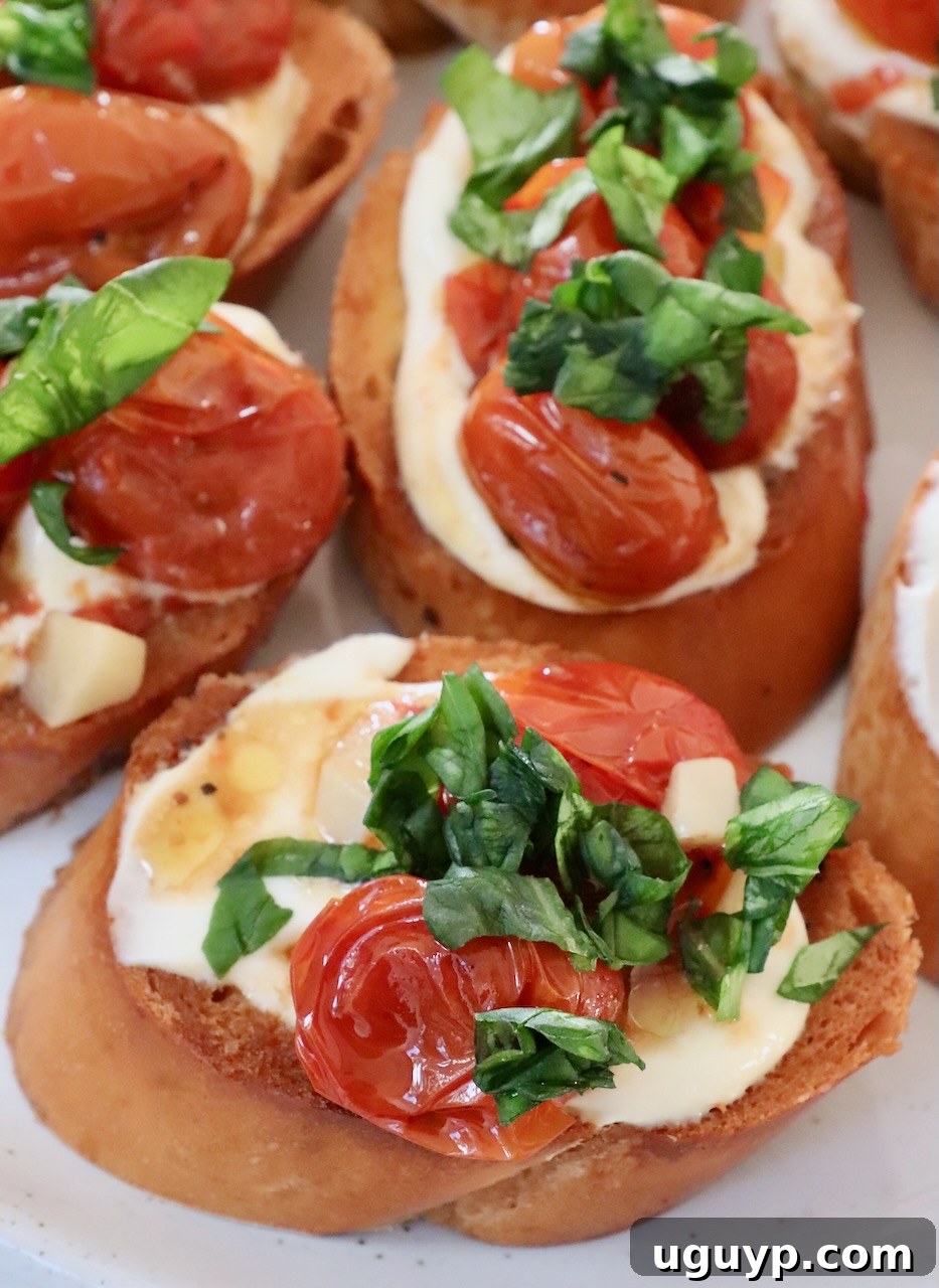 roasted tomatoes and basil on top of ricotta cheese on toast