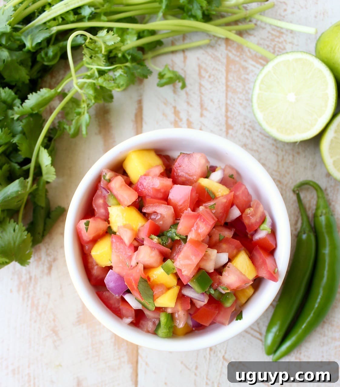 A completed bowl of vibrant mango salsa, showcasing a perfect blend of diced tomatoes, jalapeños, mango, and onion, ready to be served.