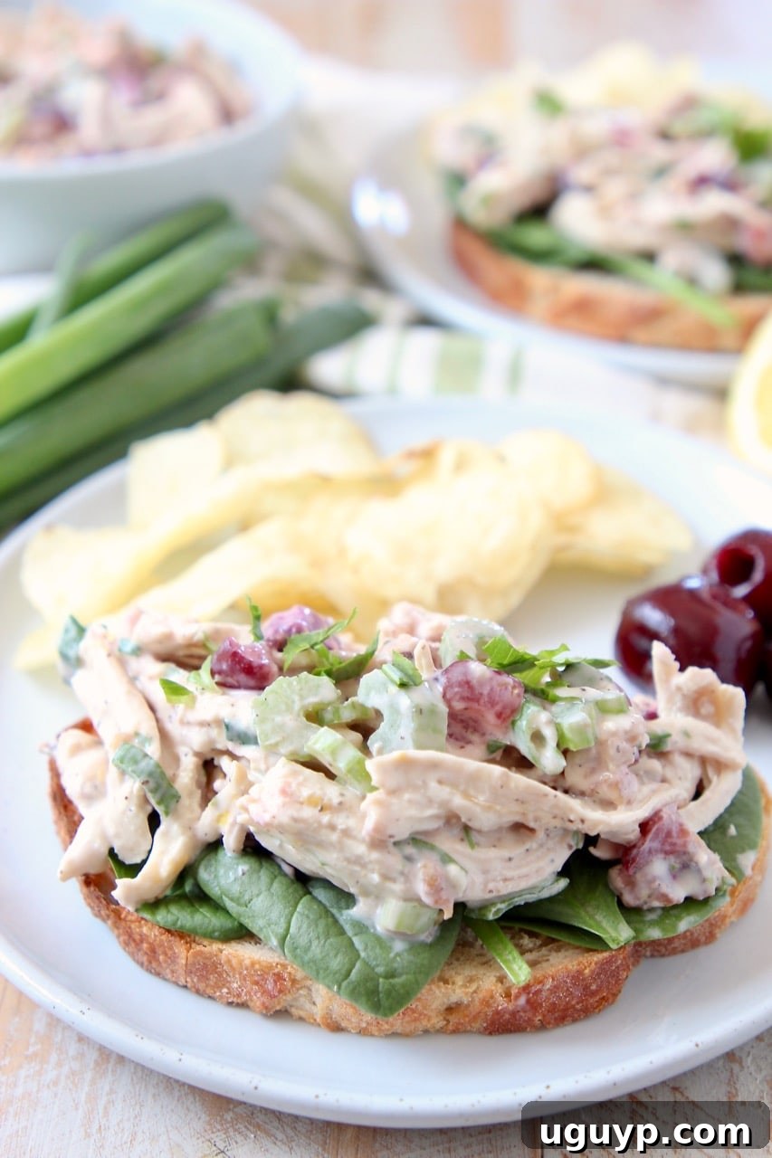 Delicious open-faced Cherry Tarragon Chicken Salad Sandwich on toasted bread with crispy potato chips