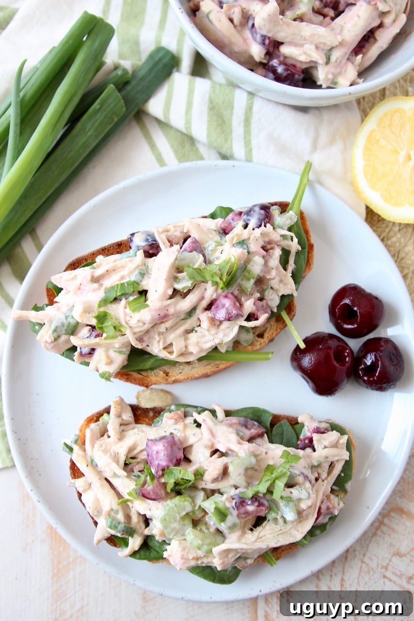 Overhead view of two open-faced Cherry Tarragon Chicken Salad sandwiches with fresh cherries