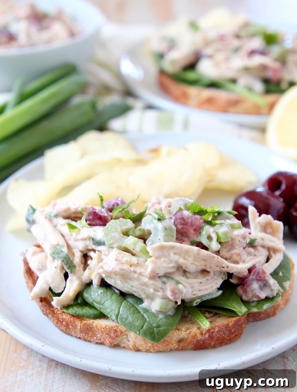 Close-up of a healthy Cherry Tarragon Chicken Salad Sandwich on toast with potato chips
