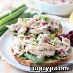 Chicken salad on toast with spinach and cherries on a white round plate