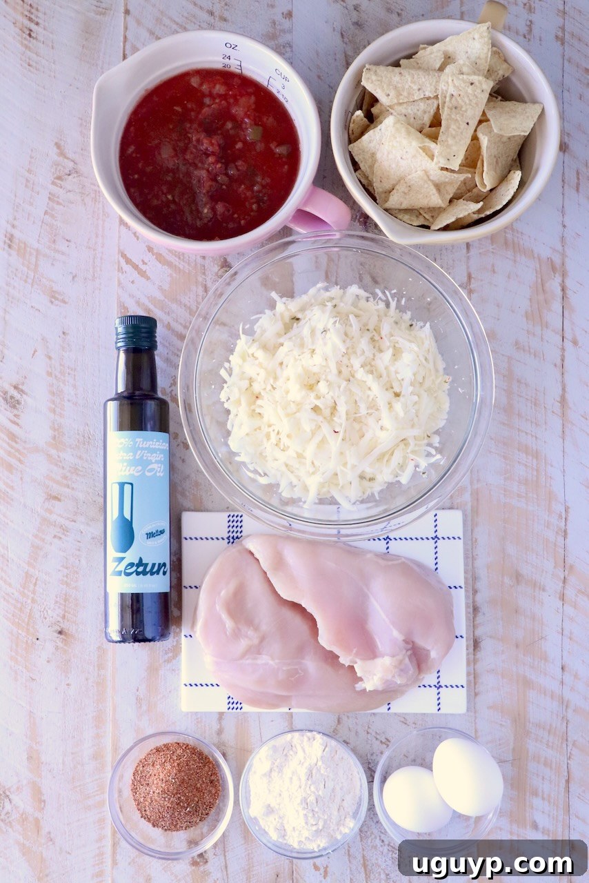 Assorted ingredients on a wooden surface: salsa, tortilla chips, cheese, olive oil, raw chicken, spices, flour, and eggs, arranged for cooking.