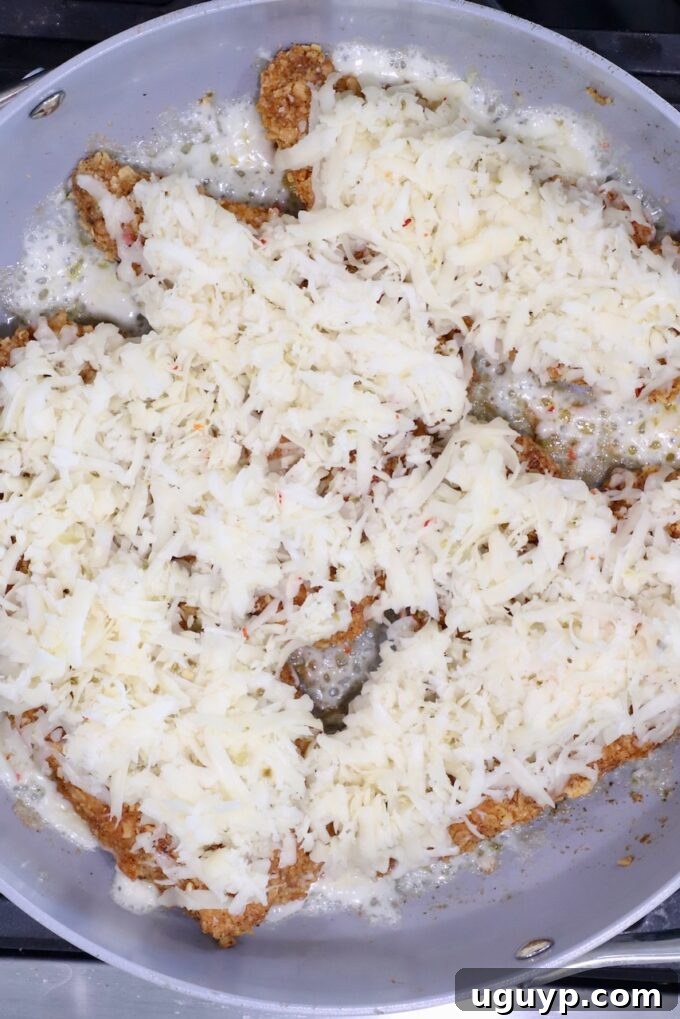 Breaded chicken cutlets covered with melted shredded cheese are sizzling in a gray frying pan.