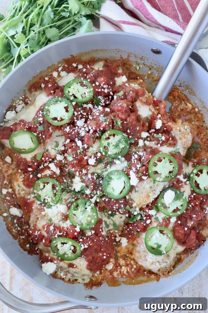 A skillet filled with chicken topped with vibrant red salsa, green jalapeño slices, and crumbled cotija cheese. Fresh cilantro and a striped towel are nearby.