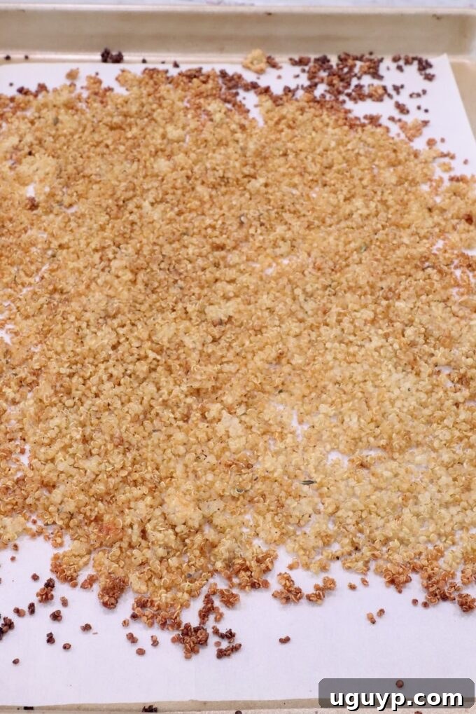 Cooked crispy quinoa spread out on a parchment-lined baking sheet after roasting.