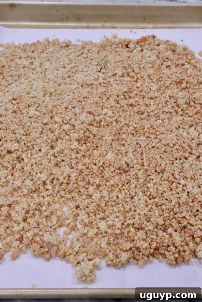 Seasoned cooked quinoa spread out evenly on a parchment lined baking sheet before roasting for crispiness.