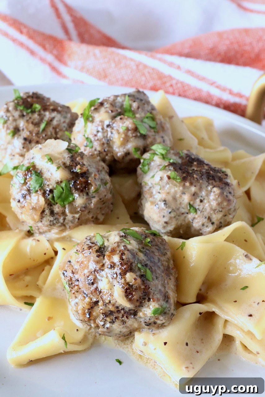 meatballs au poivre on top of pappardelle pasta on a plate