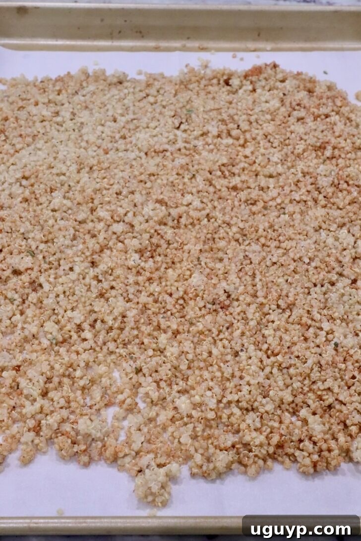 Cooked and seasoned quinoa spread out on a parchment-lined baking sheet, ready for roasting.