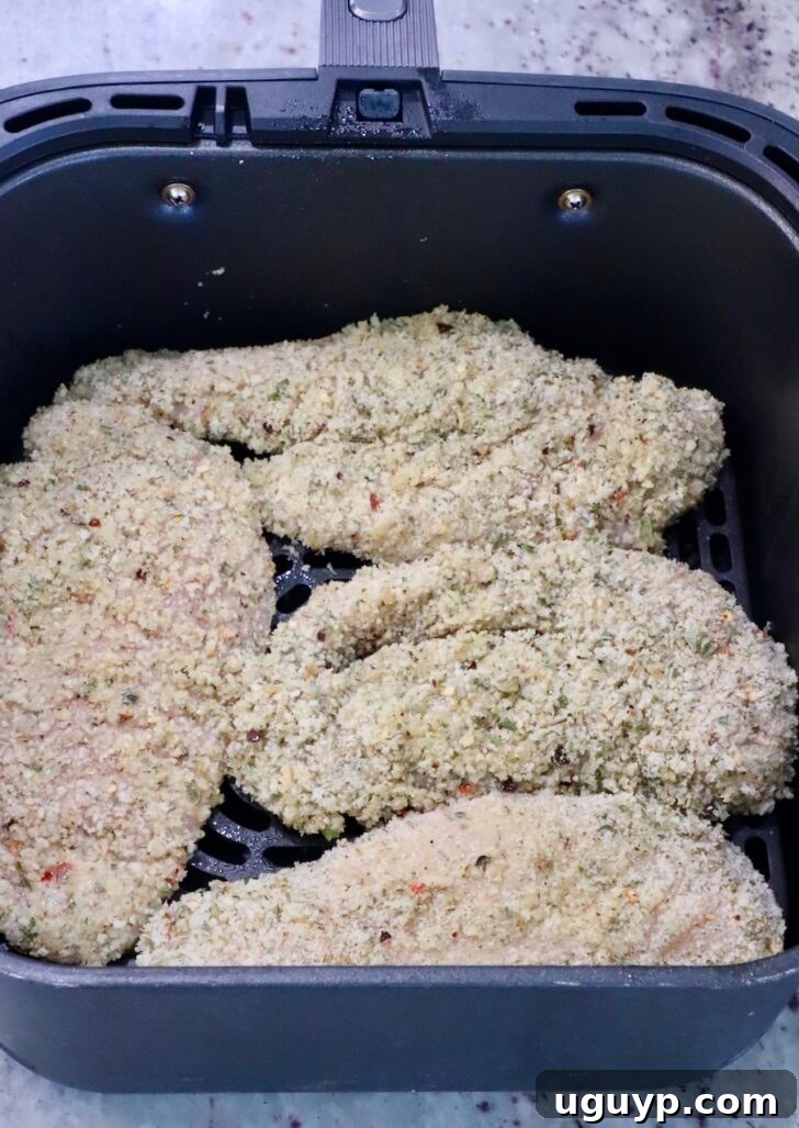 Breaded chicken breasts carefully placed in a single layer within an air fryer basket, ready to cook.