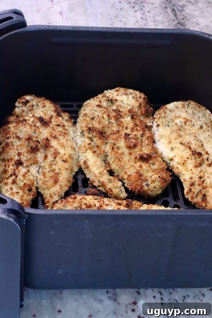 Crispy, golden-brown chicken breasts after their first air frying cycle, showing their perfect texture.