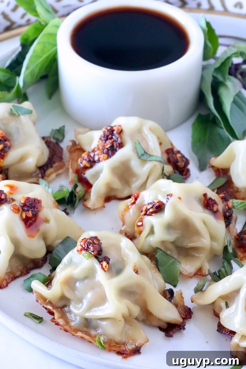 Thai basil chicken dumplings on a plate with a small bowl of dark sauce behind the dumplings and fresh Thai basil leaves on the side