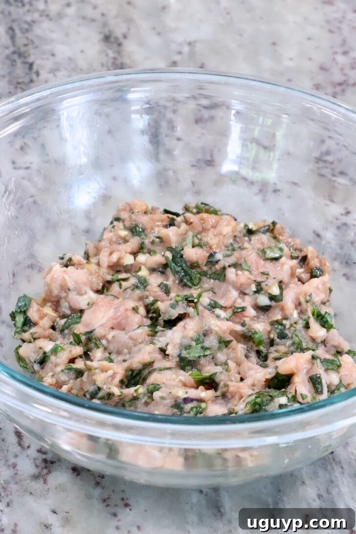 Thai basil chicken dumpling filling mixed up in a glass bowl