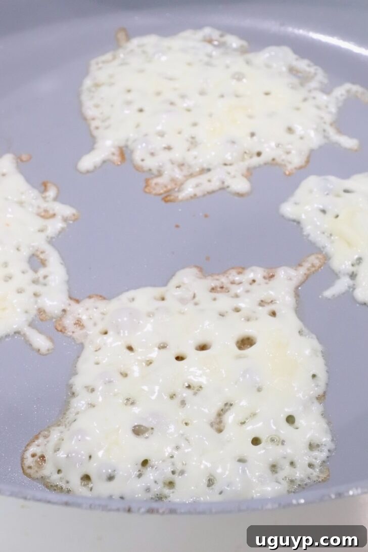 melted rounds of mozzarella cheese in a large skillet