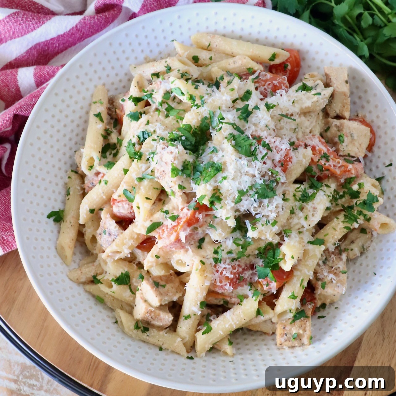 creamy penne pasta with diced chicken and cherry tomatoes