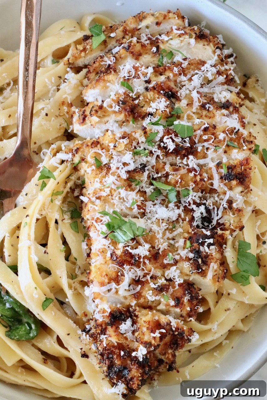 Creamy Chicken Caesar Pasta Recipe for Quick Weeknight Meals 2 crispy sliced chicken on top of creamy noodles in a bowl with a fork