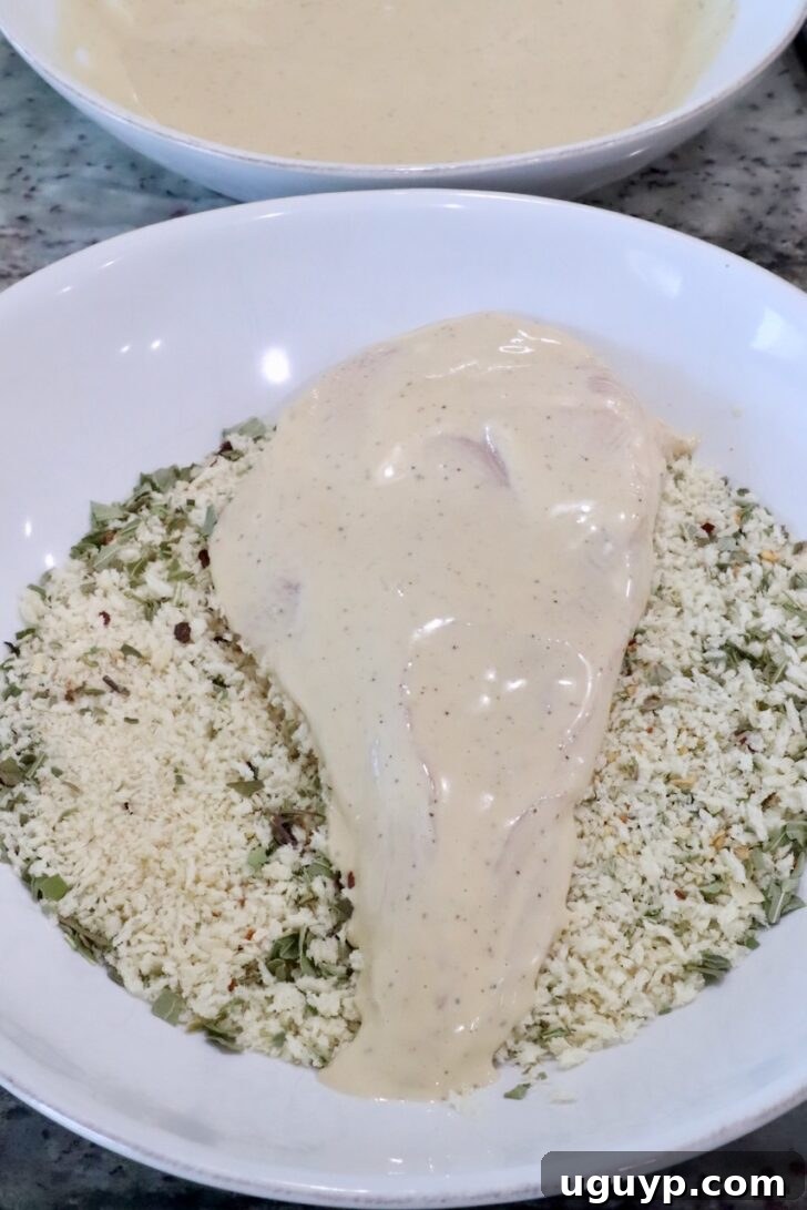 Creamy Chicken Caesar Pasta Recipe for Quick Weeknight Meals 7 a chicken breast coated in caesar dressing in a bowl of Italian seasoned breadcrumbs