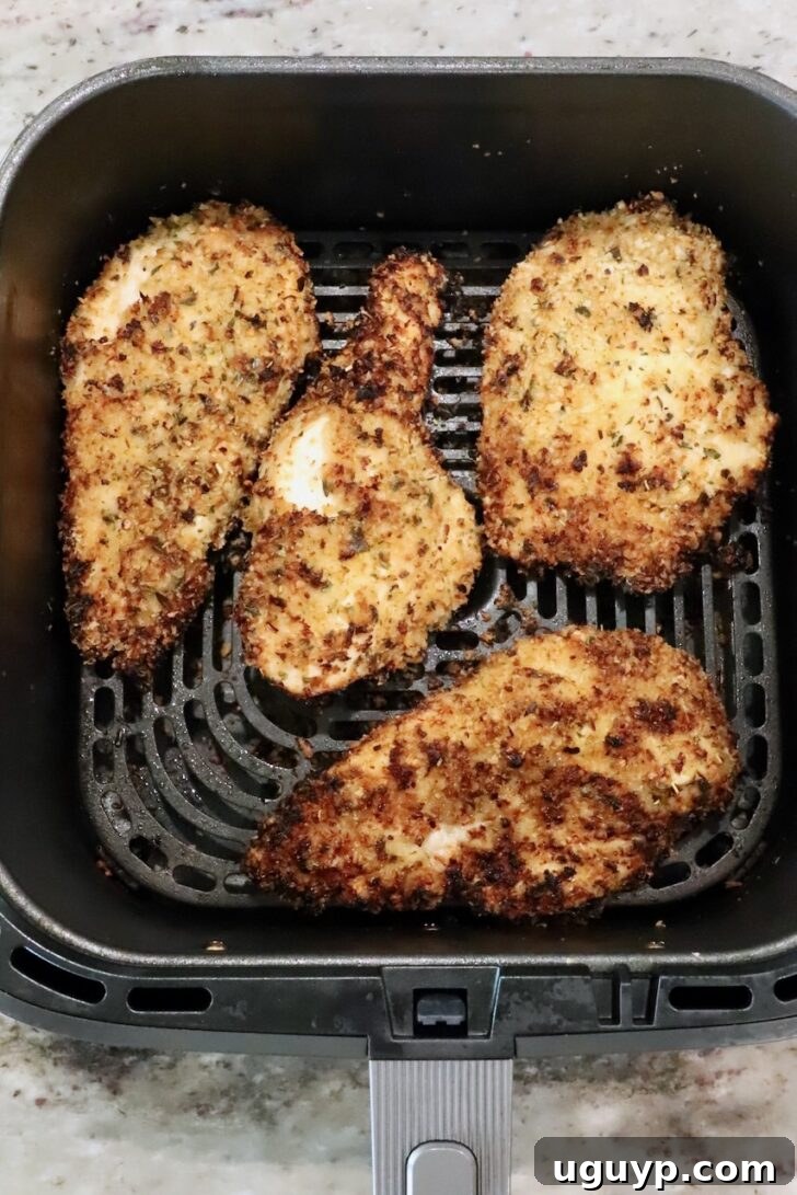 Creamy Chicken Caesar Pasta Recipe for Quick Weeknight Meals 9 cooked breaded chicken breasts in an air fryer basket