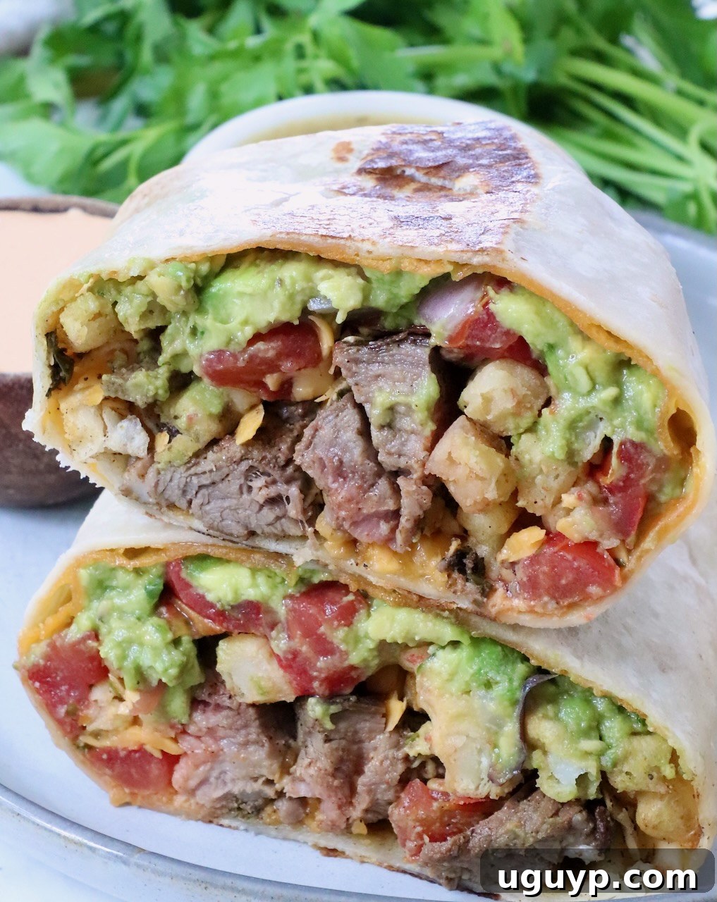 Classic California Burrito Recipe with Carne Asada & Fries 11 carne asada burrito cut in half and stacked on top of each other on a plate with fresh cilantro in the background