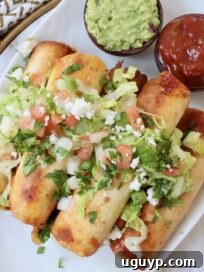 Classic California Burrito Recipe with Carne Asada & Fries 16 Beef Taquitos