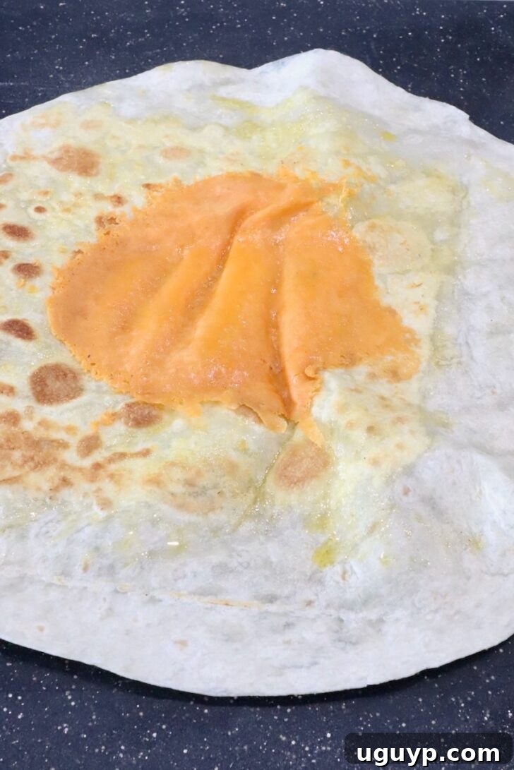 Classic California Burrito Recipe with Carne Asada & Fries 6 crispy cheese in the middle of a large tortilla