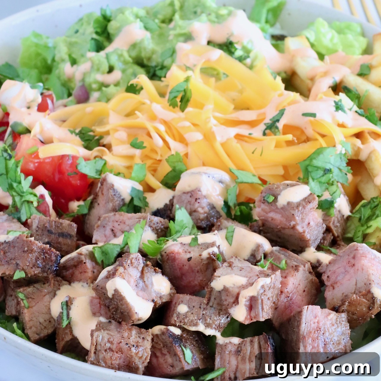 California Burrito Bowl Recipe: Chipotle-Style Carne Asada Bowl 9 diced carne asada in a bowl with cheese, tomatoes, and guacamole