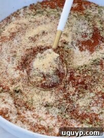 Authentic Mexican Barbacoa Seasoning Recipe 8 dried herbs and spices mixed together in a bowl with a spoon