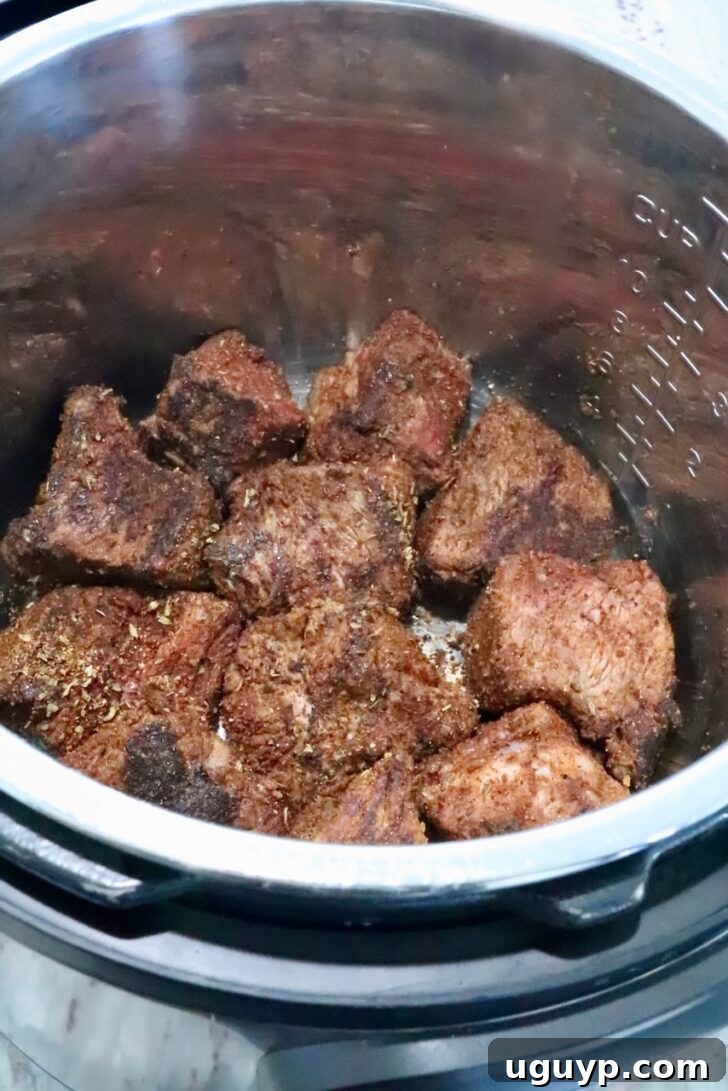 Instant Pot Beef Barbacoa - Tender Shredded Mexican Beef 7 seasoned, seared pieces of beef in an instant pot