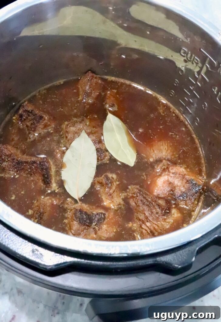 Instant Pot Beef Barbacoa - Tender Shredded Mexican Beef 8 pieces of beef, covered with beef broth and bay leaves in an Instant Pot