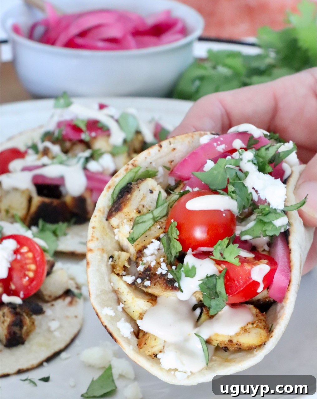 Homemade Chicken Shawarma Tacos Recipe 2 hand holding up a chicken shawarma taco over a plate with more tacos