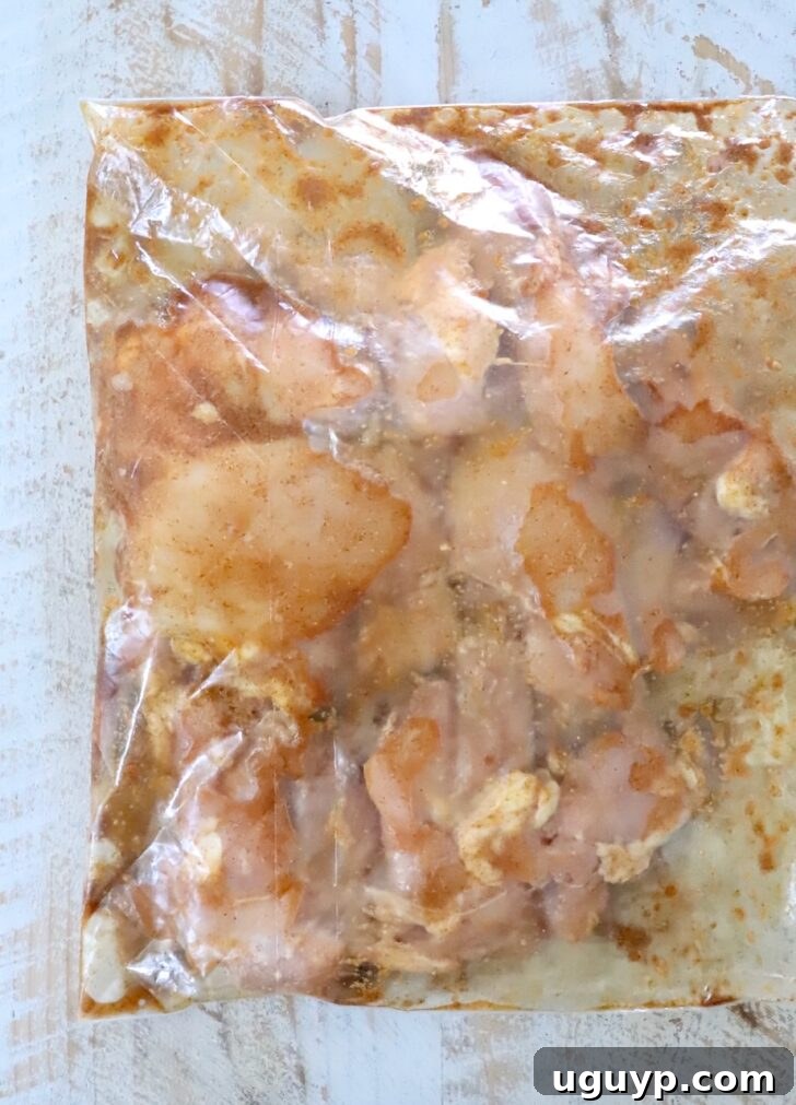 Homemade Chicken Shawarma Tacos Recipe 6 chicken thighs marinated in a plastic zipper bag