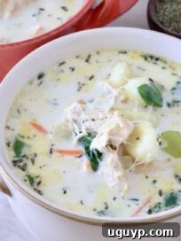 Chicken Gnocchi Soup