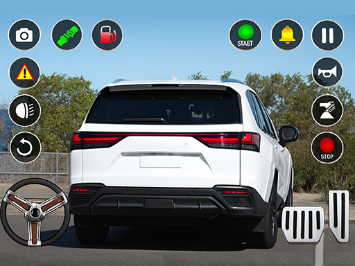 Simulator de parcare auto offline